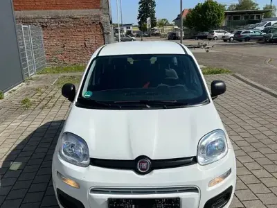 Gebraucht Fiat Panda Pop 69 PS (50 kW) 2016 Weiß Kleinwagen