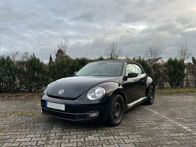 VW Beetle