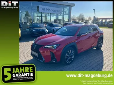 Gebraucht Lexus UX 300h