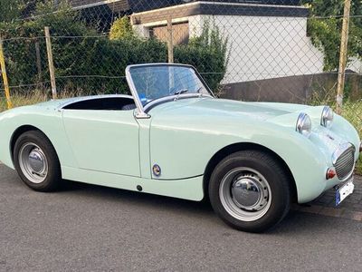 gebraucht Austin Healey Sprite MK I, Frosch