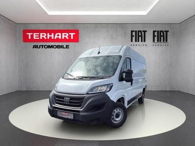 Gebraucht Fiat Ducato 140 PS (102 kW) 2023 Weiß Van
