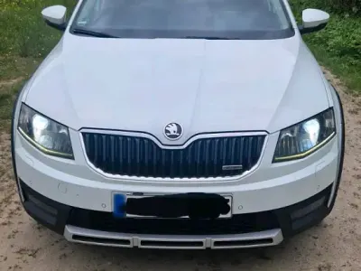 Gebraucht Skoda Octavia Scout Scout 4x4 184 PS (135 kW) 2015 Weiß Kombi