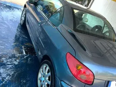 Gebraucht Peugeot 206 CC Tendance 109 PS (80 kW) 2004 Grau Cabrio