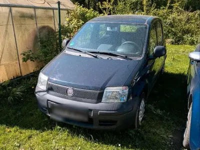 Usata Fiat Panda 52 CV (38 kW) 2010 Nero Utilitaria