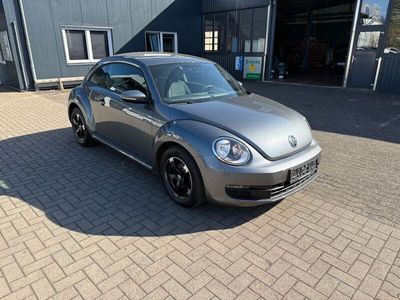 VW Beetle
