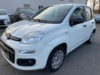 Gebraucht Fiat Panda Easy 69 PS (50 kW) 2015 Weiß Kleinwagen
