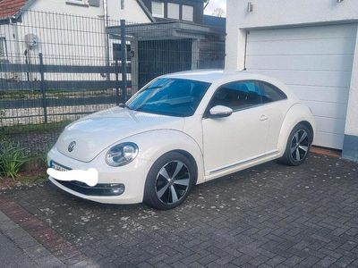 VW Beetle