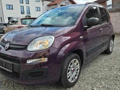 Gebraucht Fiat Panda 69 PS (50 kW) 2013 Violett Kleinwagen