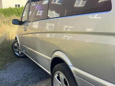Mercedes Viano