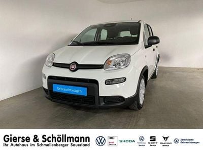 Gebraucht Fiat Panda Cross Cross 69 PS (50 kW) 2025 Colore esterno (weiss) Kleinwagen