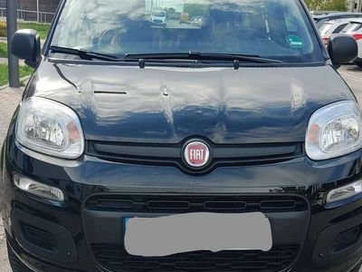 gebraucht Fiat Panda Panda1.2 Start