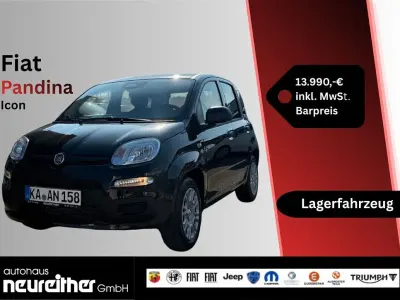 Gebraucht Fiat Panda Icon 69 PS (50 kW) 2025 Schwarz Kleinwagen