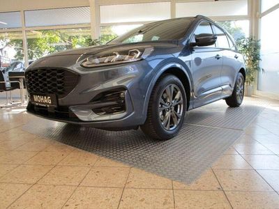 Gebraucht Ford Kuga ST-Line 150 PS (110 kW) 2023 Blau SUV