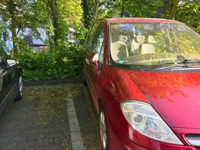 Używany Citroën C8