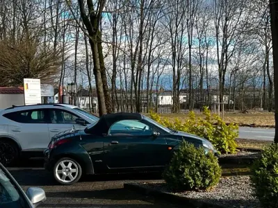 Gebraucht Ford StreetKa 95 PS (69 kW) 2004 Grün Cabrio