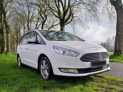 Gebraucht Ford Galaxy Business Edition 165 PS (121 kW) 2019 Weiß Van / Kleinbus