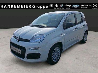 Neu Fiat Panda Icon 65 PS (47 kW) 2026 Weiß Kleinwagen