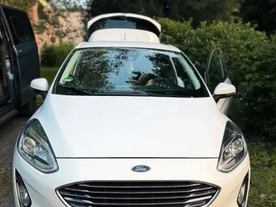 Gebraucht Ford Fiesta ST-Line 101 PS (74 kW) 2017 Weiß Kleinwagen