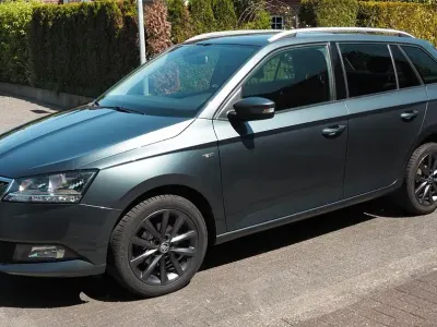 Gebraucht Skoda Fabia Soleil 95 PS (69 kW) 2019 Grau Kleinwagen