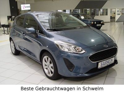 Gebraucht Ford Fiesta Cool & Connect 95 PS (69 kW) 2021 Blau Kleinwagen