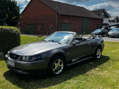 Gebraucht Ford Mustang