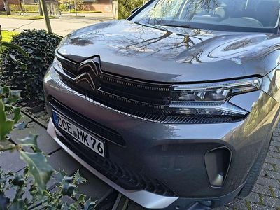Gebraucht Citroën C5 Aircross PureTech 131 PS (96 kW) 2023 Grau SUV