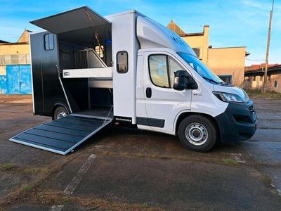 gebraucht Fiat Ducato 