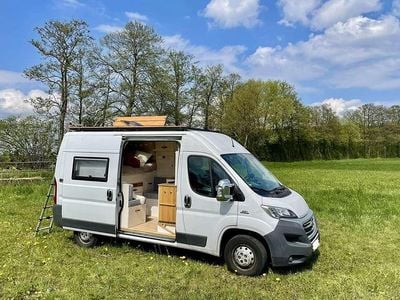 Usata Fiat Ducato 131 CV (96 kW) 2014 Furgone