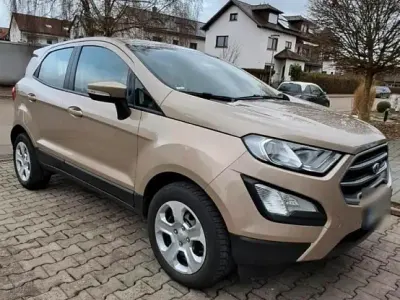 Usado Ford Ecosport Trend 100 CV (73 kW) 2019 Beige SUV