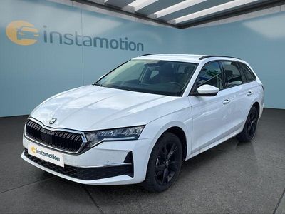 Usata Skoda Octavia 150 CV (110 kW) 2025 Bianco Station wagon