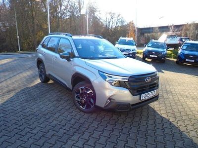 Gebraucht Subaru Forester Exclusive+ 136 PS (100 kW) 2024 Gold SUV