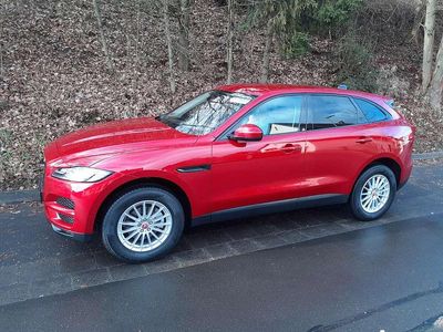 Gebraucht Jaguar F-Pace Chequered Flag 241 PS (177 kW) 2020 SUV