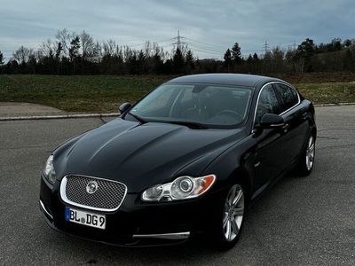 gebraucht Jaguar XF 3.0