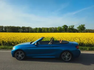 Brugt BMW M240 M Sport 340 HK (250 kW) 2019 Blå Cabriolet