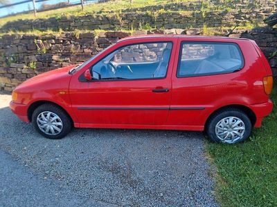 VW Polo