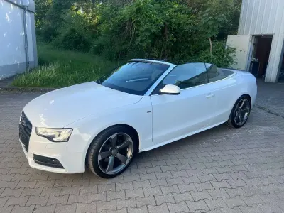 Gebraucht Audi A5 Cabriolet 170 PS (125 kW) 2014 Gletscherweiß metallic Cabrio