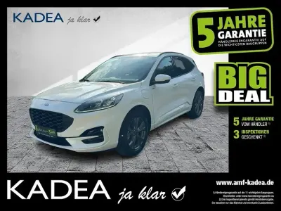 Gebraucht Ford Kuga ST-Line X 224 PS (164 kW) 2022 Frostweiß SUV