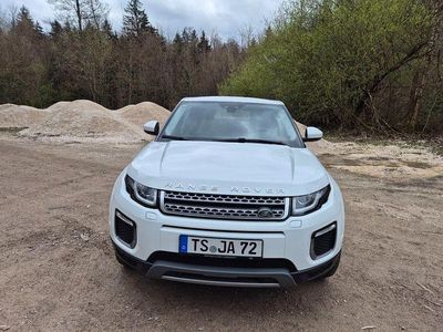 Gebraucht Land Rover Range Rover evoque Pure 150 PS (110 kW) 2017 Weiß SUV