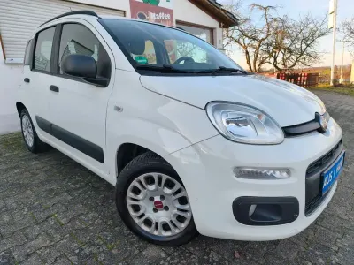 Brugt Fiat Panda Easy 69 HK (50 kW) 2015 Hvid Hatchback
