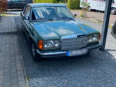 Brugt Mercedes 230 1978 Grøn Coupe