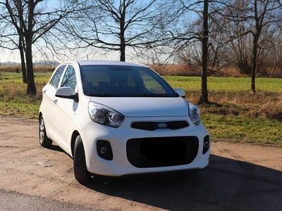Gebraucht Kia Picanto First Edition 69 PS (50 kW) 2015 Weiß Kleinwagen