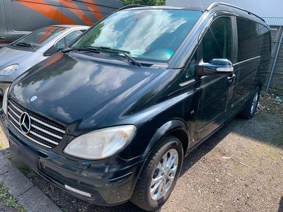 Mercedes Viano