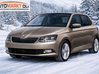 Gebraucht Skoda Fabia Sport 110 PS (80 kW) 2017 Grau Kleinwagen