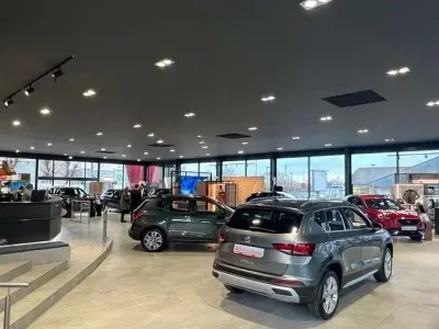 Gebraucht Skoda Rapid