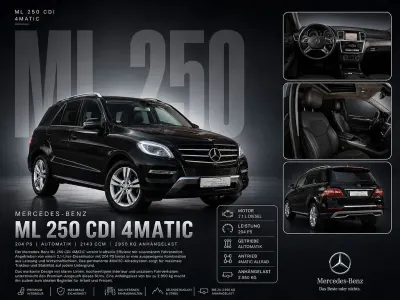Gebraucht Mercedes ML250