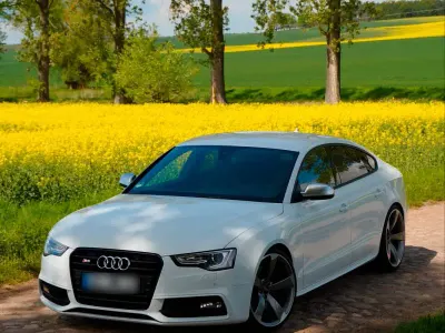 Gebraucht Audi S5 Sportback 333 PS (244 kW) 2013 Weiß Kleinwagen