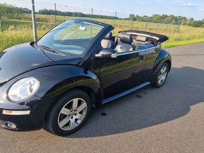 VW Beetle