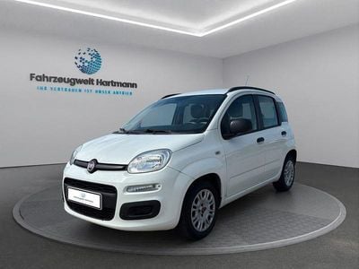 Begagnad Fiat Panda 69 HK (50 kW) 2014 Vit Halvkombi
