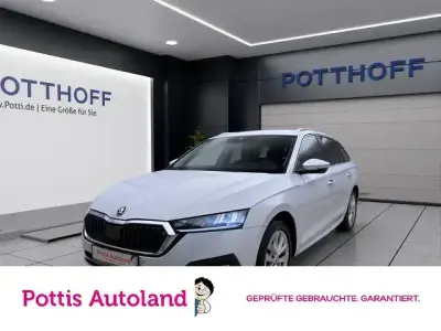 Gebraucht Skoda Octavia Style 150 PS (110 kW) 2022 Moonweiß perleffekt Kombi