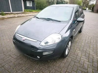 Usata Fiat Punto Evo 75 CV (55 kW) 2011 Grigio Utilitaria